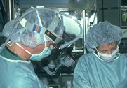 ORL surgeons